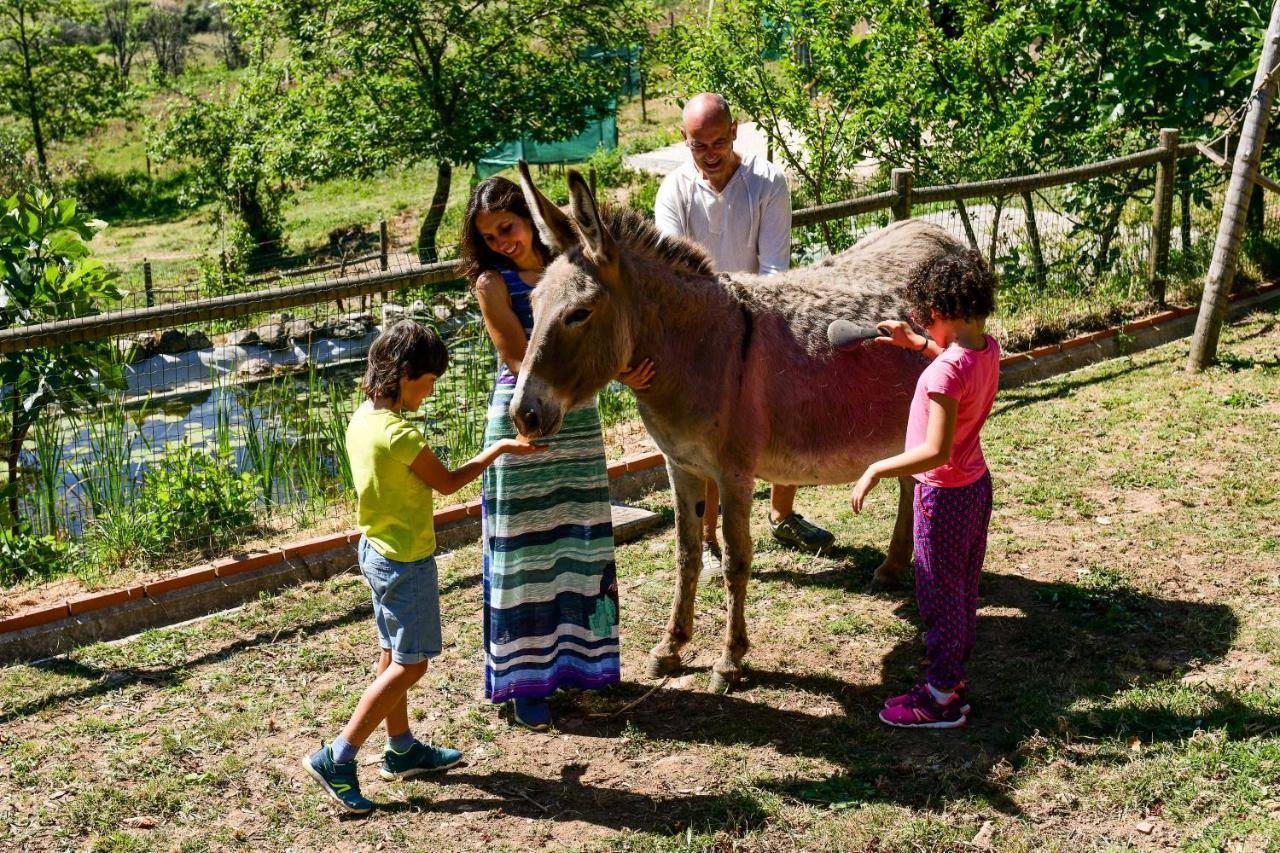 Vale Do Ninho Nature Houses Ferraria de São João 外观 照片