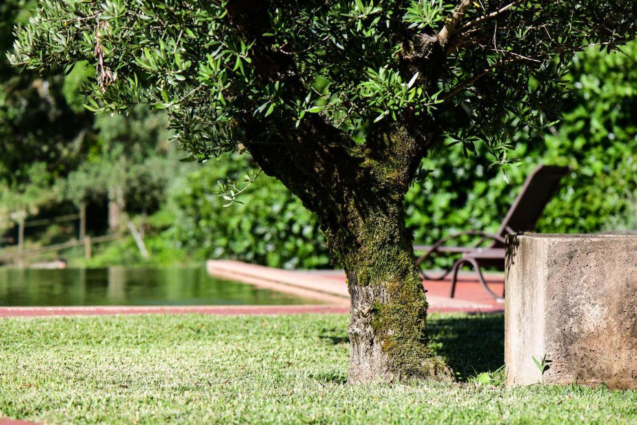 Vale Do Ninho Nature Houses Ferraria de São João 外观 照片